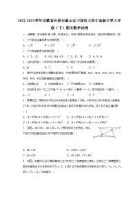 2022-2023学年安徽省合肥市蜀山区中国科大附中高新中学八年级（下）期末数学试卷（含解析）