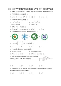 2022-2023学年湖南省怀化市通道县七年级（下）期末数学试卷（含解析）