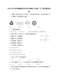 2022-2023学年湖南省永州市冷水滩区七年级（下）期末数学试卷（含解析）