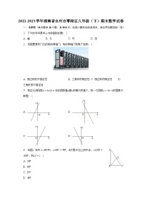 2022-2023学年湖南省永州市零陵区八年级（下）期末数学试卷（含解析）