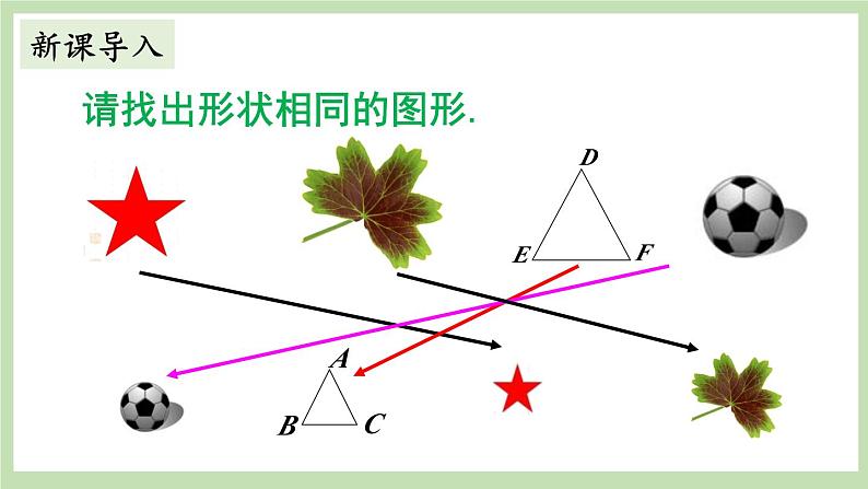 北师大数学九上 3 相似多边形 课件PPT+教案02