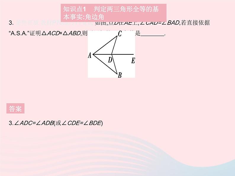 2023八年级数学上册第13章全等三角形13.2三角形全等的判定课时3角边角作业课件新版华东师大版05