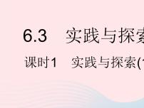 初中数学华师大版七年级下册6.3 实践与探索作业课件ppt