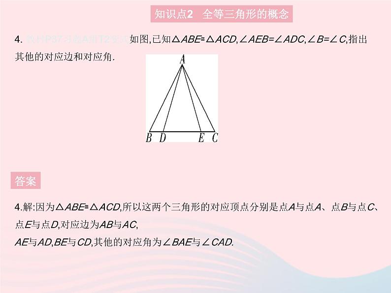 2023八年级数学上册第十三章全等三角形13.2全等图形作业课件新版冀教版06