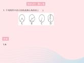 2023九年级数学上册第二十四章圆24.1圆的有关性质课时3弧弦圆心角作业课件新版新人教版