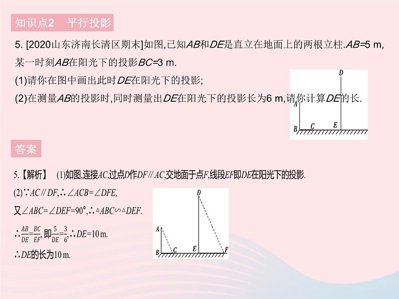 2023九年级数学下册第二十九章投影与视图29.1投影课时1平行投影与中心投影作业课件新版新人教版第7页