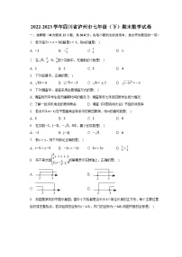 2022-2023学年四川省泸州市七年级（下）期末数学试卷（含解析）