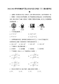 2022-2023学年河南省平顶山市宝丰县七年级（下）期末数学试卷（含解析）