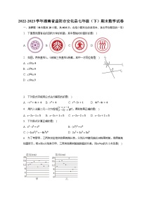 2022-2023学年湖南省益阳市安化县七年级（下）期末数学试卷（含解析）