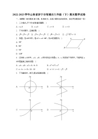 2022-2023学年山东省济宁市邹城市八年级（下）期末数学试卷（含解析）