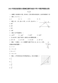 2023年陕西省商洛市商南县湘河初级中学中考数学模拟试卷（三）（含解析）