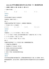 安徽省合肥市庐江县2022-2023学年七年级下学期期末数学试题（解析版）