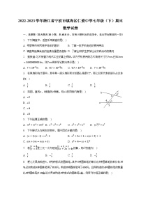 2022-2023学年浙江省宁波市镇海区仁爱中学七年级（下）期末数学试卷（含解析）