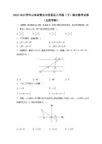 2022-2023学年山东省泰安市岱岳区八年级（下）期末数学试卷（五四学制）（含解析）