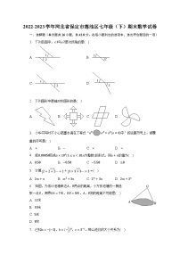 2022-2023学年河北省保定市莲池区七年级（下）期末数学试卷（含解析）