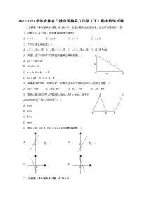 2022-2023学年吉林省白城市通榆县八年级（下）期末数学试卷（含解析）