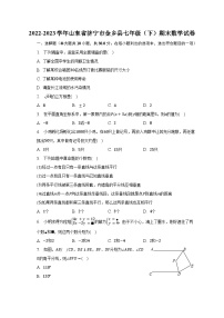 2022-2023学年山东省济宁市金乡县七年级（下）期末数学试卷（含解析）