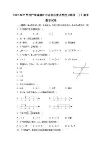 2022-2023学年广东省湛江市赤坎区重点学校七年级（下）期末数学试卷（含解析）