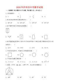 2020年泸州市中考数学试卷-含答案