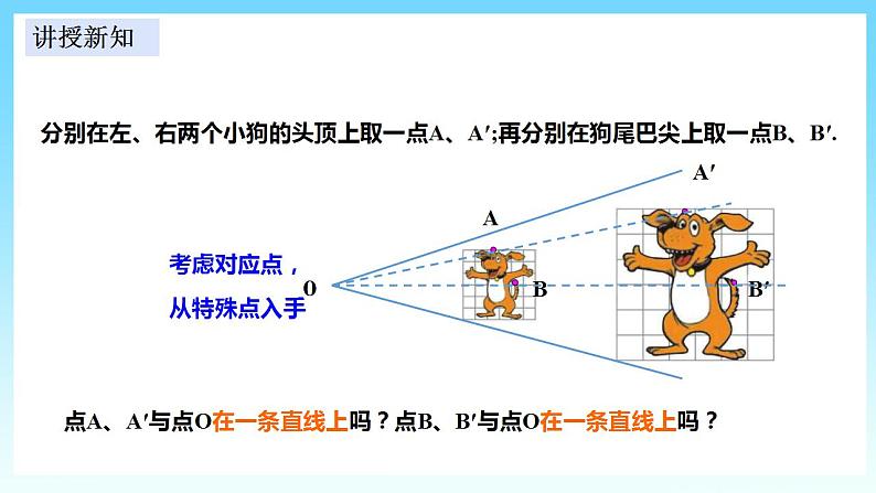 湘教版数学九年级上册  3.6.1 位似（课件+教案+练习）05