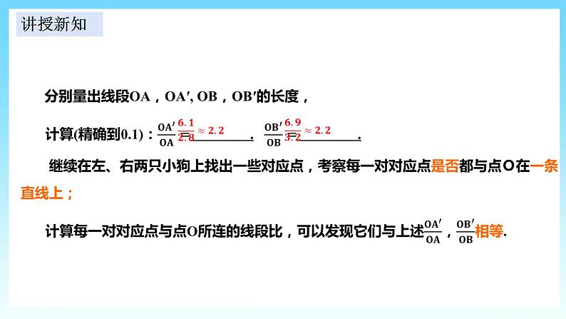 湘教版数学九年级上册  3.6.1 位似（课件+教案+练习）06