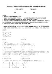 2022-2023学年临沂市重点中学数学七年级第二学期期末达标测试试题含答案