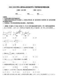 2022-2023学年上海市宝山区淞谊中学七下数学期末联考模拟试题含答案