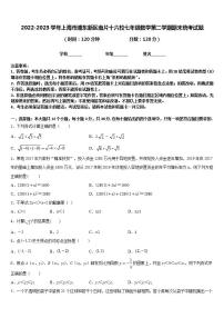 2022-2023学年上海市浦东新区南片十六校七年级数学第二学期期末统考试题含答案