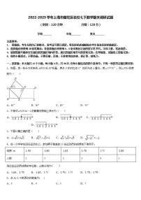 2022-2023学年上海市普陀区名校七下数学期末调研试题含答案