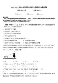 2022-2023学年中山市重点中学数学七下期末统考模拟试题含答案