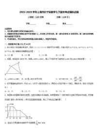 2022-2023学年上海市长宁区数学七下期末考试模拟试题含答案