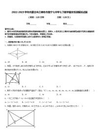 2022-2023学年内蒙古乌兰察布市集宁七中学七下数学期末检测模拟试题含答案