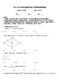 2022-2023学年云南省红河州七下数学期末预测试题含答案