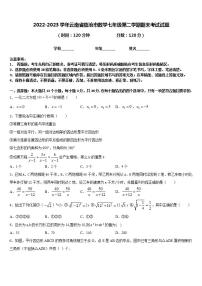 2022-2023学年云南省临沧市数学七年级第二学期期末考试试题含答案