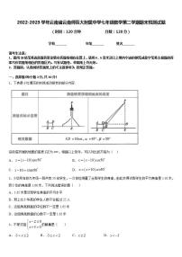 2022-2023学年云南省云南师范大附属中学七年级数学第二学期期末检测试题含答案