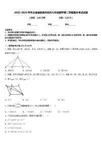 2022-2023学年云南省昭通市名校七年级数学第二学期期末考试试题含答案