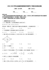 2022-2023学年云南省西双版纳景洪市数学七下期末达标测试试题含答案