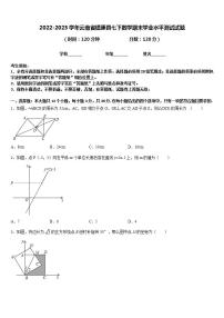 2022-2023学年云南省镇康县七下数学期末学业水平测试试题含答案