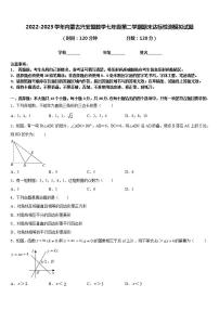 2022-2023学年内蒙古兴安盟数学七年级第二学期期末达标检测模拟试题含答案