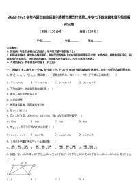 2022-2023学年内蒙古自治区鄂尔多斯市康巴什区第二中学七下数学期末复习检测模拟试题含答案