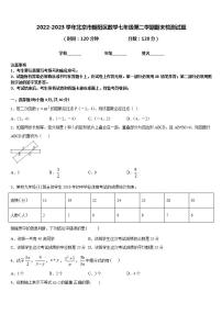 2022-2023学年北京市朝阳区数学七年级第二学期期末检测试题含答案