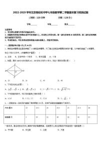 2022-2023学年北京陈经纶中学七年级数学第二学期期末复习检测试题含答案