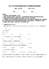 2022-2023学年北京西城师大附中七下数学期末达标测试试题含答案