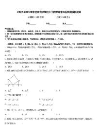 2022-2023学年北京育才学校七下数学期末达标检测模拟试题含答案