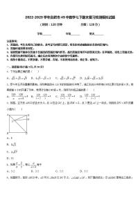 2022-2023学年合肥市45中数学七下期末复习检测模拟试题含答案