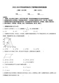 2022-2023学年合肥市包河七下数学期末质量检测试题含答案