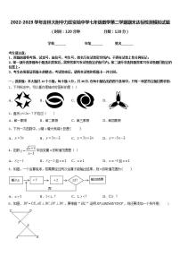 2022-2023学年吉林大附中力旺实验中学七年级数学第二学期期末达标检测模拟试题含答案