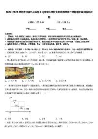 2022-2023学年吉林省九台区加工河中学心学校七年级数学第二学期期末监测模拟试题含答案