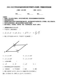 2022-2023学年吉林省农安县华家中学数学七年级第二学期期末检测试题含答案