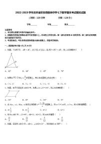 2022-2023学年吉林省农安县前岗中学七下数学期末考试模拟试题含答案